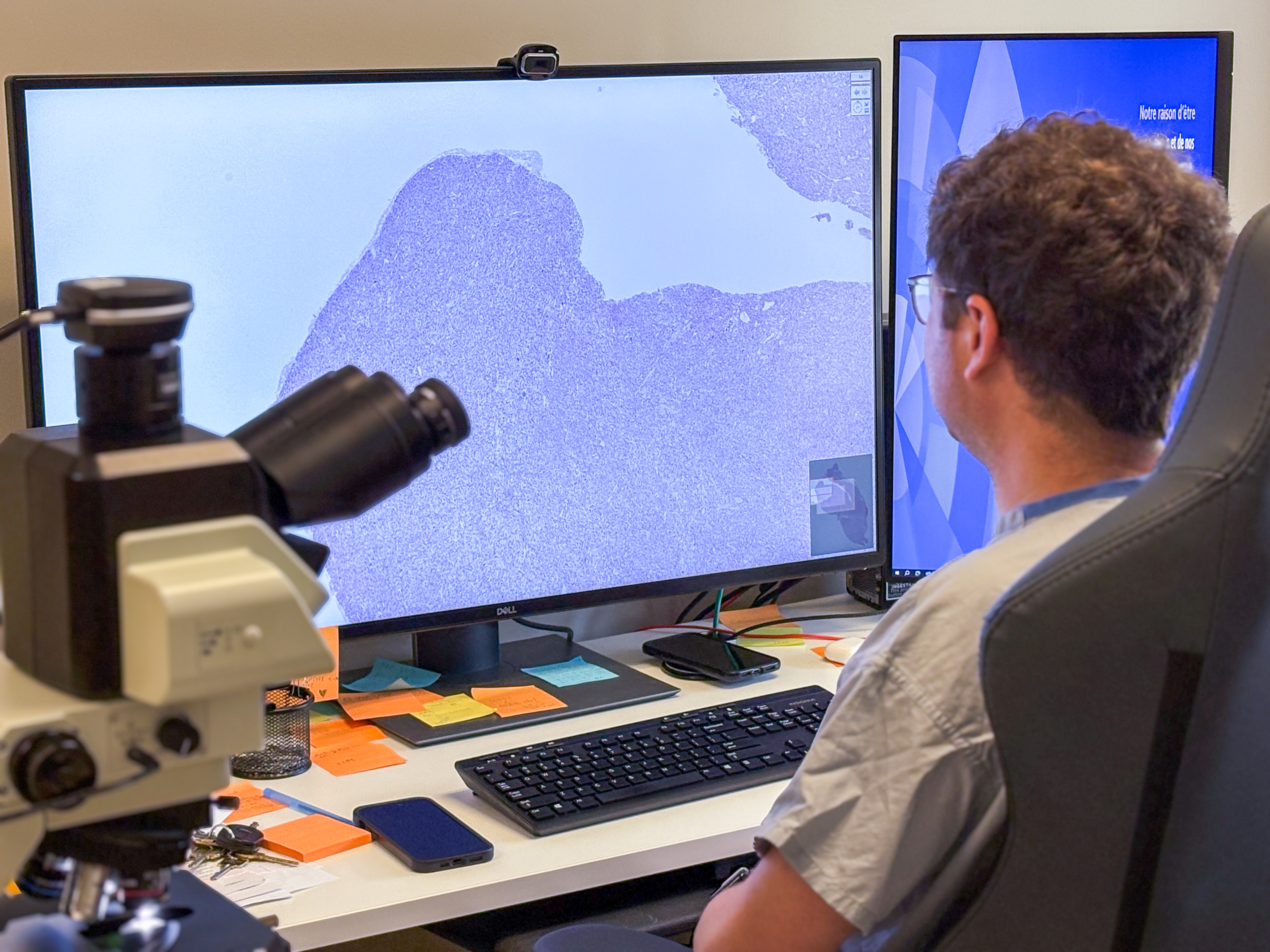 Patologist Tools The digital pathology simulator: A pan-Canadian educational project ...